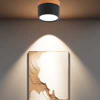 Nordisk enkel cylinder LED -takljus