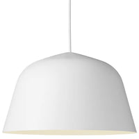Sleek Dome Metal Pendant Light