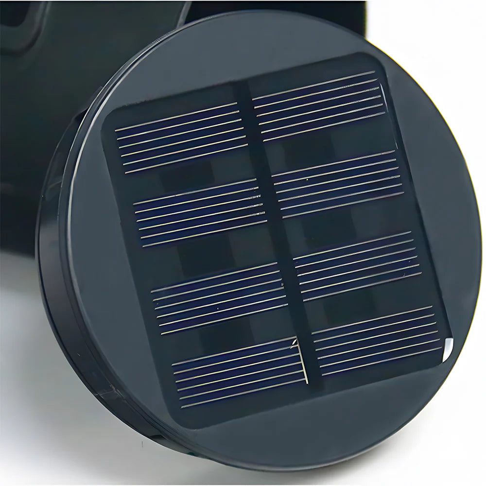 Lampes de sol de jardin noires à énergie solaire