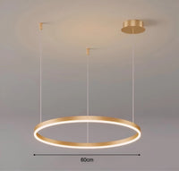 Modern Adjustable Aluminum Halo LED Pendant Light