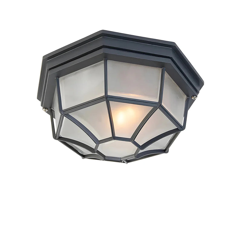 Outdoor Entrance Corridor Ceiling Light