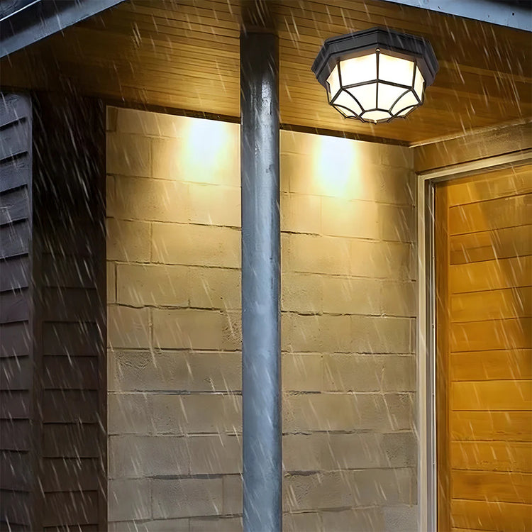 Outdoor Entrance Corridor Ceiling Light