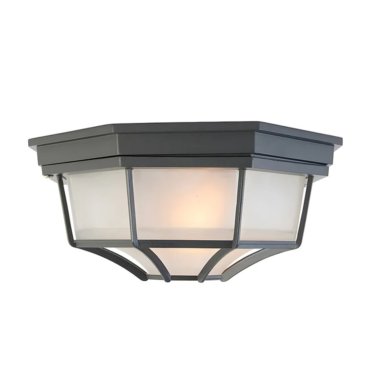 Outdoor Entrance Corridor Ceiling Light