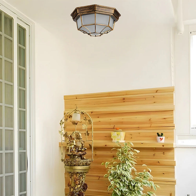 Outdoor Entrance Corridor Ceiling Light