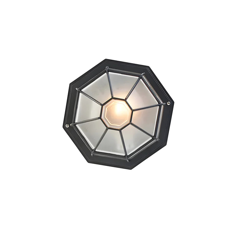 Outdoor Entrance Corridor Ceiling Light