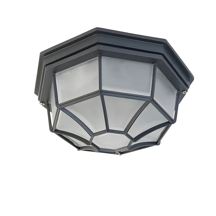 Outdoor Entrance Corridor Ceiling Light