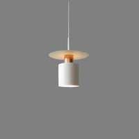 Glarefusion Modern Stylish Pendant Light