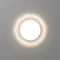 Contemporary Black Round LED Ceiling Light