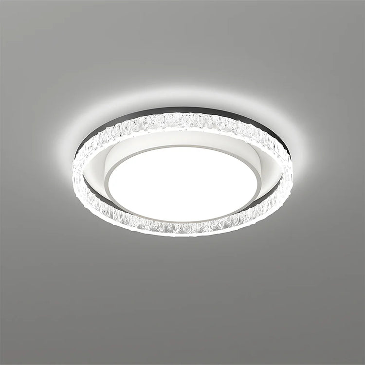 Contemporary Black Round LED Ceiling Light