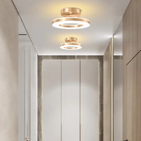 Chic Modern Iron Round Ceiling Light
