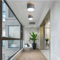 Nordic Simple Cylinder LED Ceiling Light