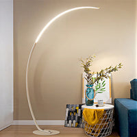 Source Cross-border C-Type Phishing Floor Lamp