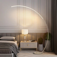 Source Cross-border C-Type Phishing Floor Lamp