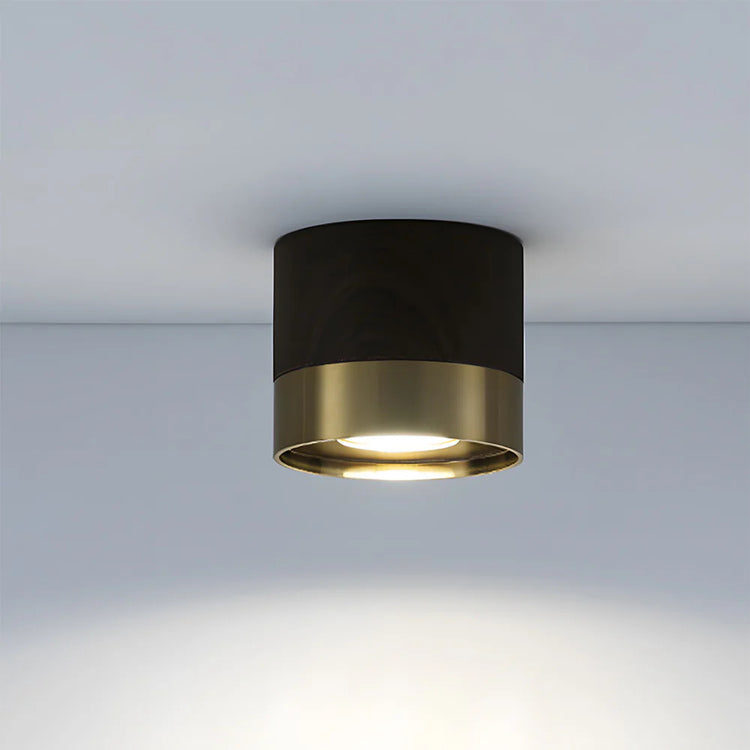 Modern Aluminum Mini Ceiling Light