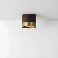 Modern Aluminum Mini Ceiling Light