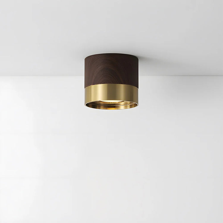 Modern Aluminum Mini Ceiling Light