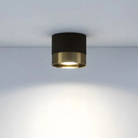 Modern Aluminum Mini Ceiling Light
