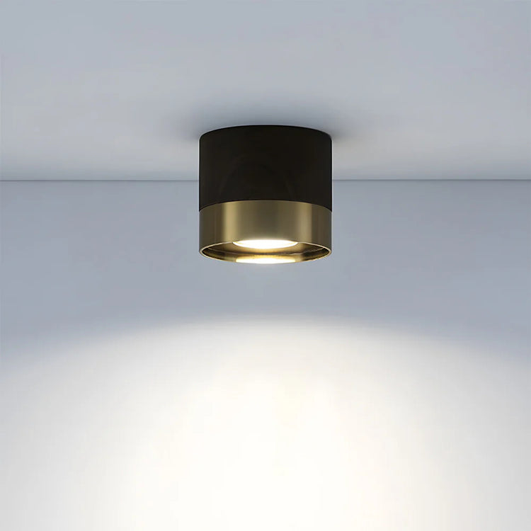 Modern Aluminum Mini Ceiling Light