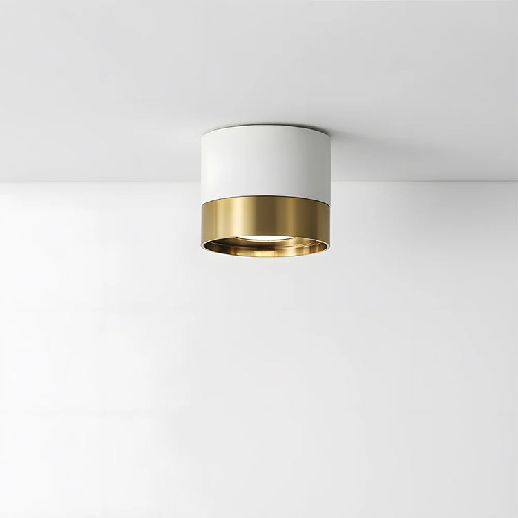 Modern Aluminum Mini Ceiling Light