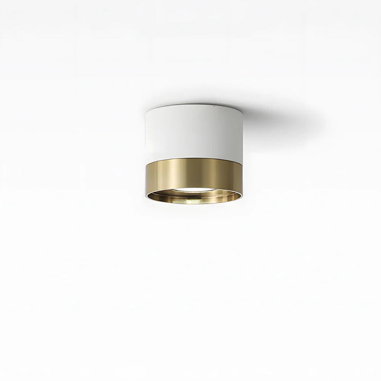 Modern Aluminum Mini Ceiling Light