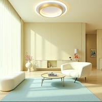 Moderne rund ring metal akrylloftlys