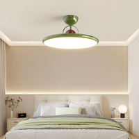 Tranquil Elegance Contemporary Ceiling Light