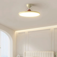 Tranquil Elegance Contemporary Ceiling Light