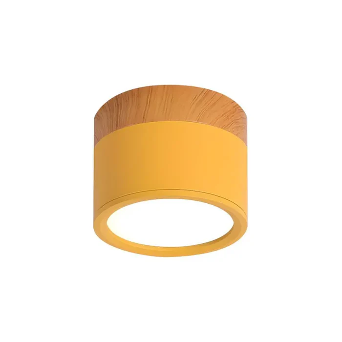 Nordic Simple Cylinder LED Ceiling Light