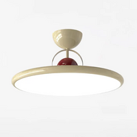 Tranquil Elegance Contemporary Ceiling Light