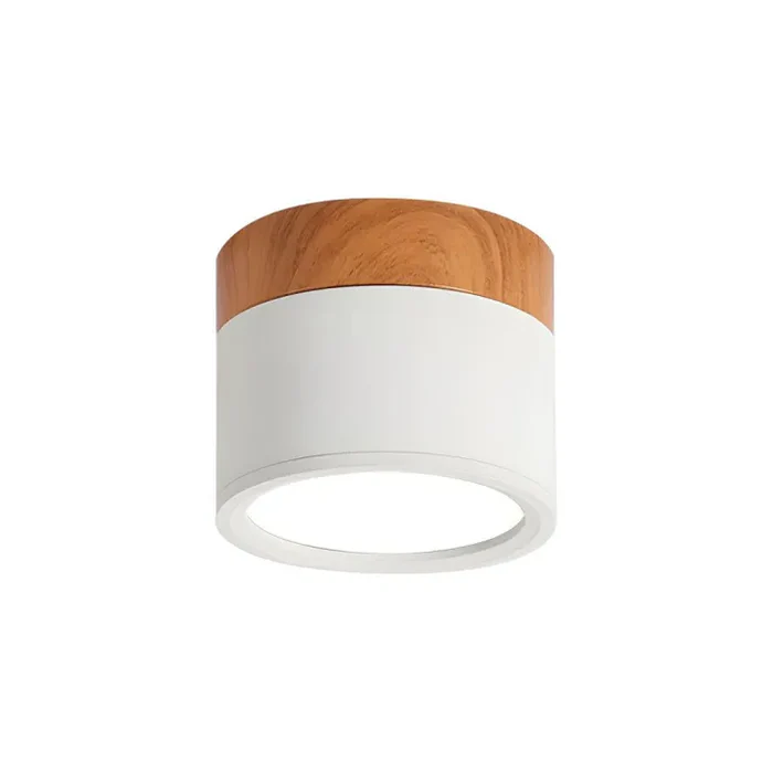 Nordic Simple Cylinder LED Ceiling Light