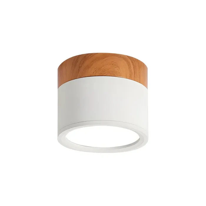 Nordic Simple Cylinder LED Loftslampe