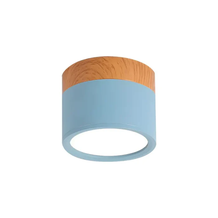 Nordic Simple Cylinder LED Ceiling Light