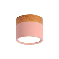 Nordic Simple Cylinder LED Ceiling Light