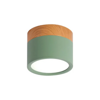 Nordic Simple Cylinder LED Ceiling Light