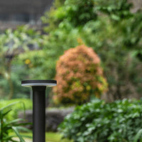 Modern Outdoor LED Pole Light